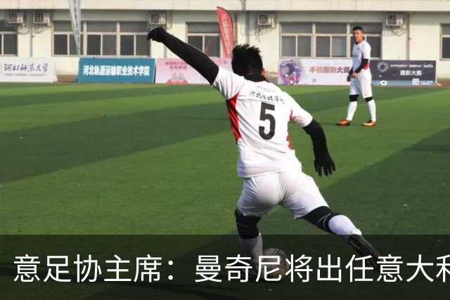 意足协主席：曼奇尼将出任意大利主帅 拉涅利任技术总监