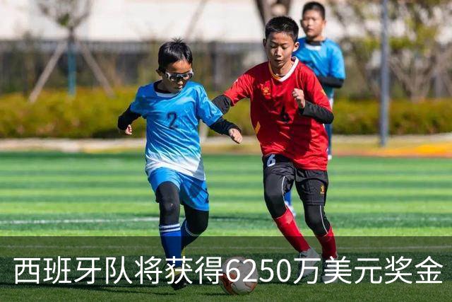 西班牙队将获得6250万美元奖金 每位球员将分得约88万美元